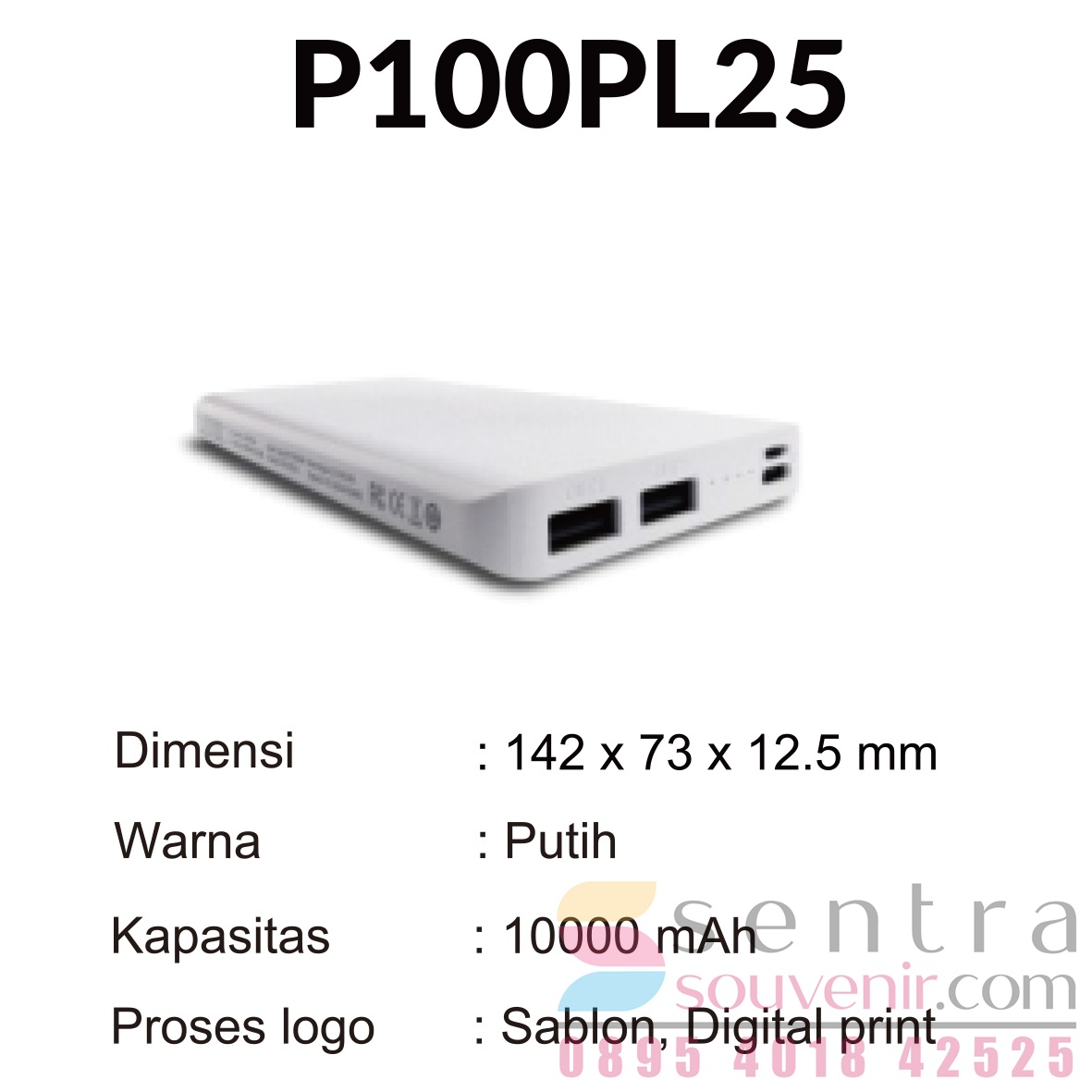Powerbank 10
