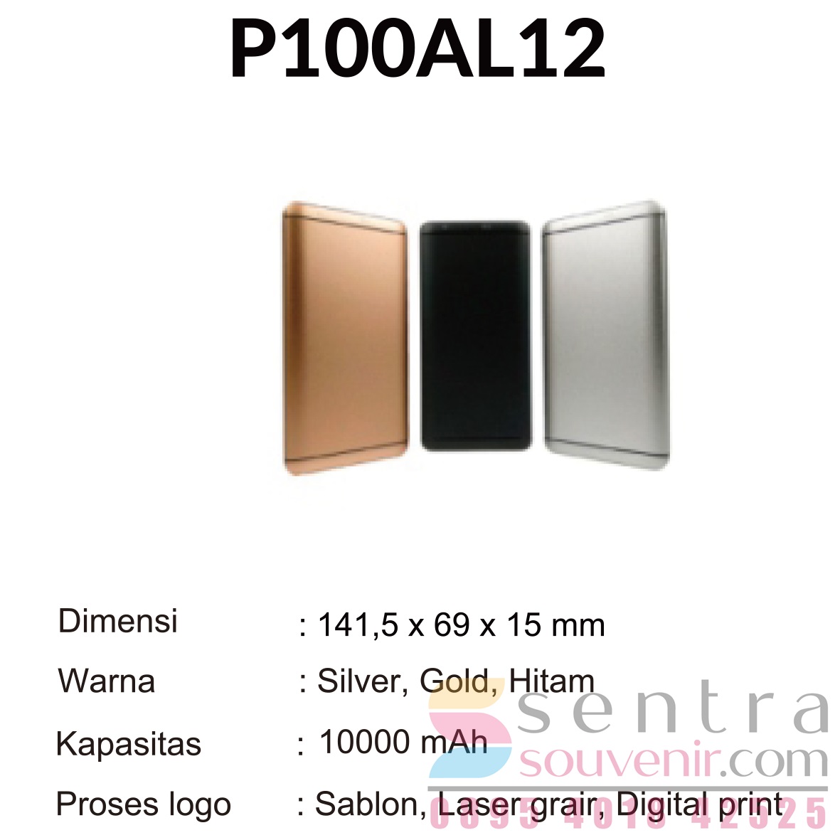 Powerbank 12